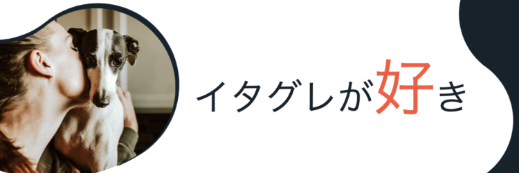 イタグレが好き